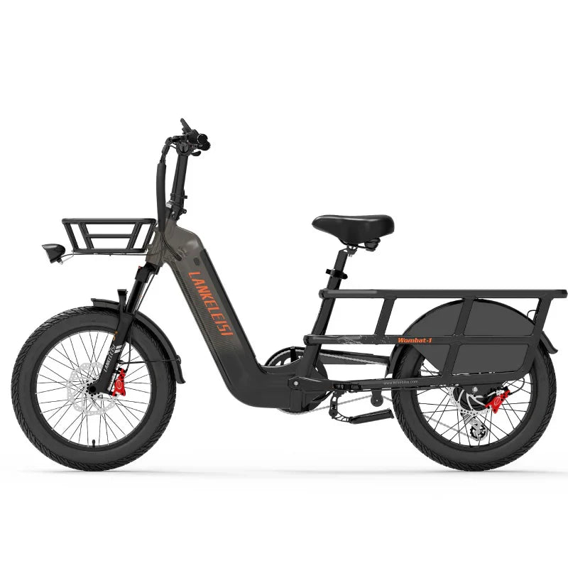 Wombat-1 1000W Fat Tires Cargo E-Bike